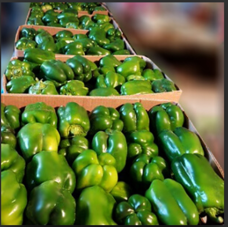 فروش فلفل دلمه ای