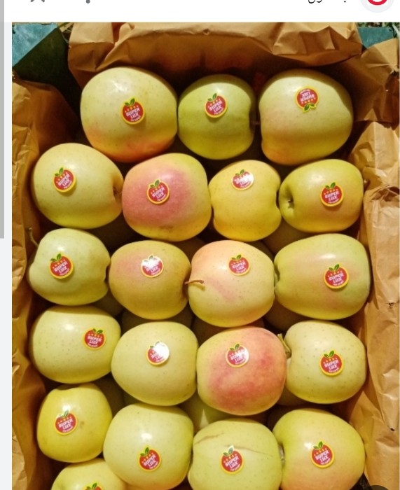 فروش سیب