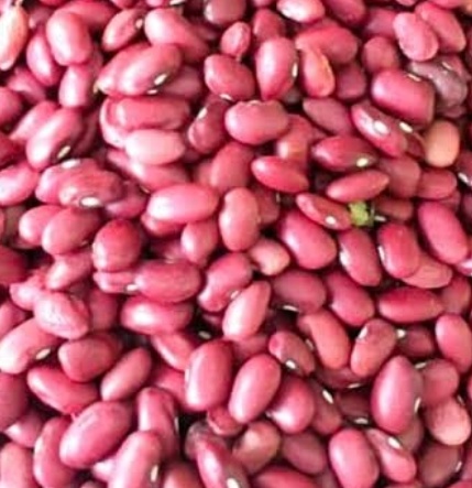 فروش لوبیا قرمز