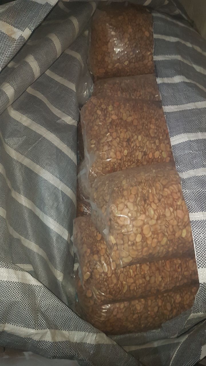 فروش باقلا خشک