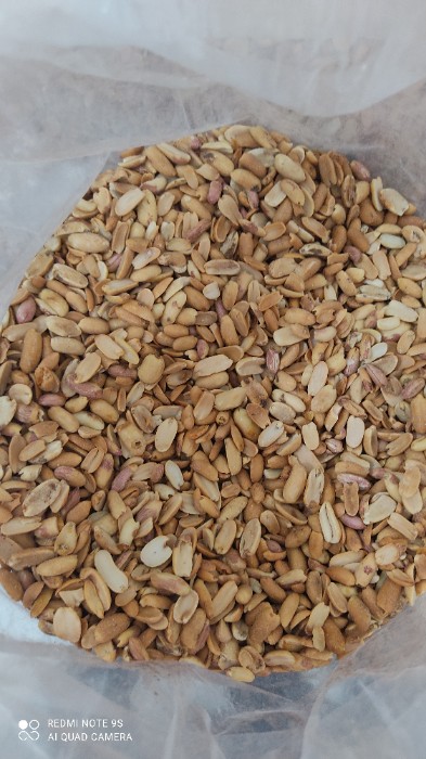 فروش بادام زمینی