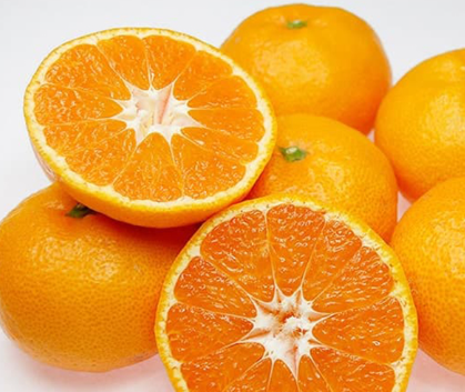 فروش نارنگی انشو