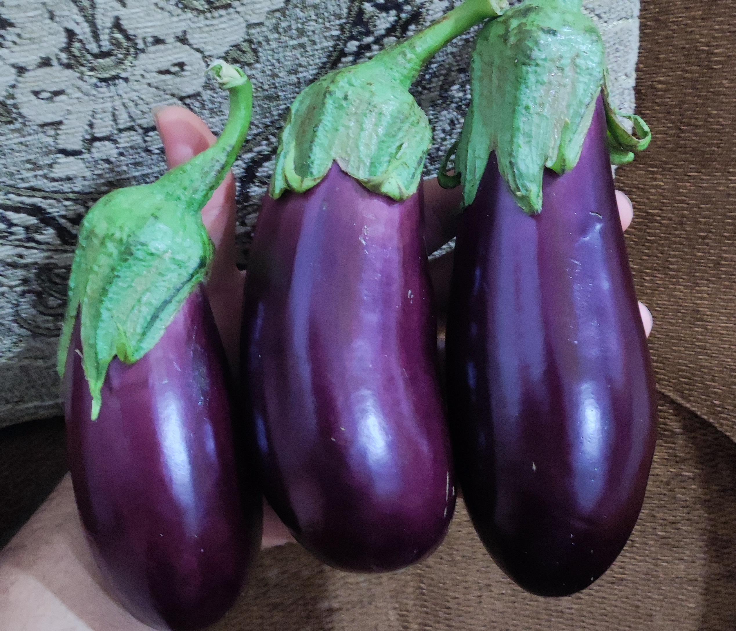 فروش بادمجان جهرمی یا همون محلی شیرین