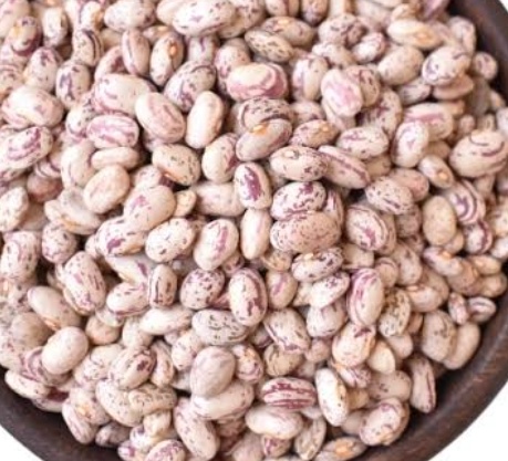 فروش لوبیا چیتی