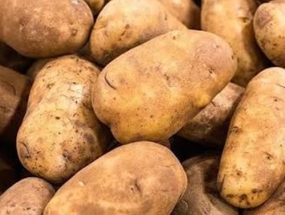 فروش سیب زمینی اسپریت