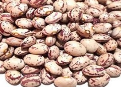 فروش لوبیا چیتی