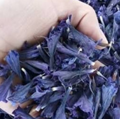 فروش گل گاو زبان - گاوزبان (گیاه‌ دارویی)