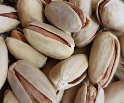 فروش پسته اکبری