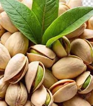 فروش پسته کله قوچی