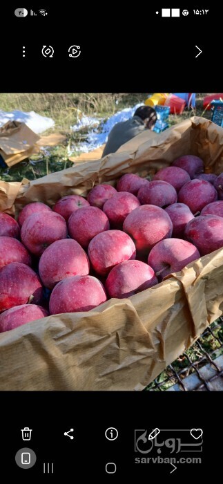 فروش سیب 2