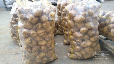 فروش سیب زمینی 2