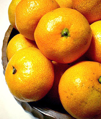 فروش نارنگی