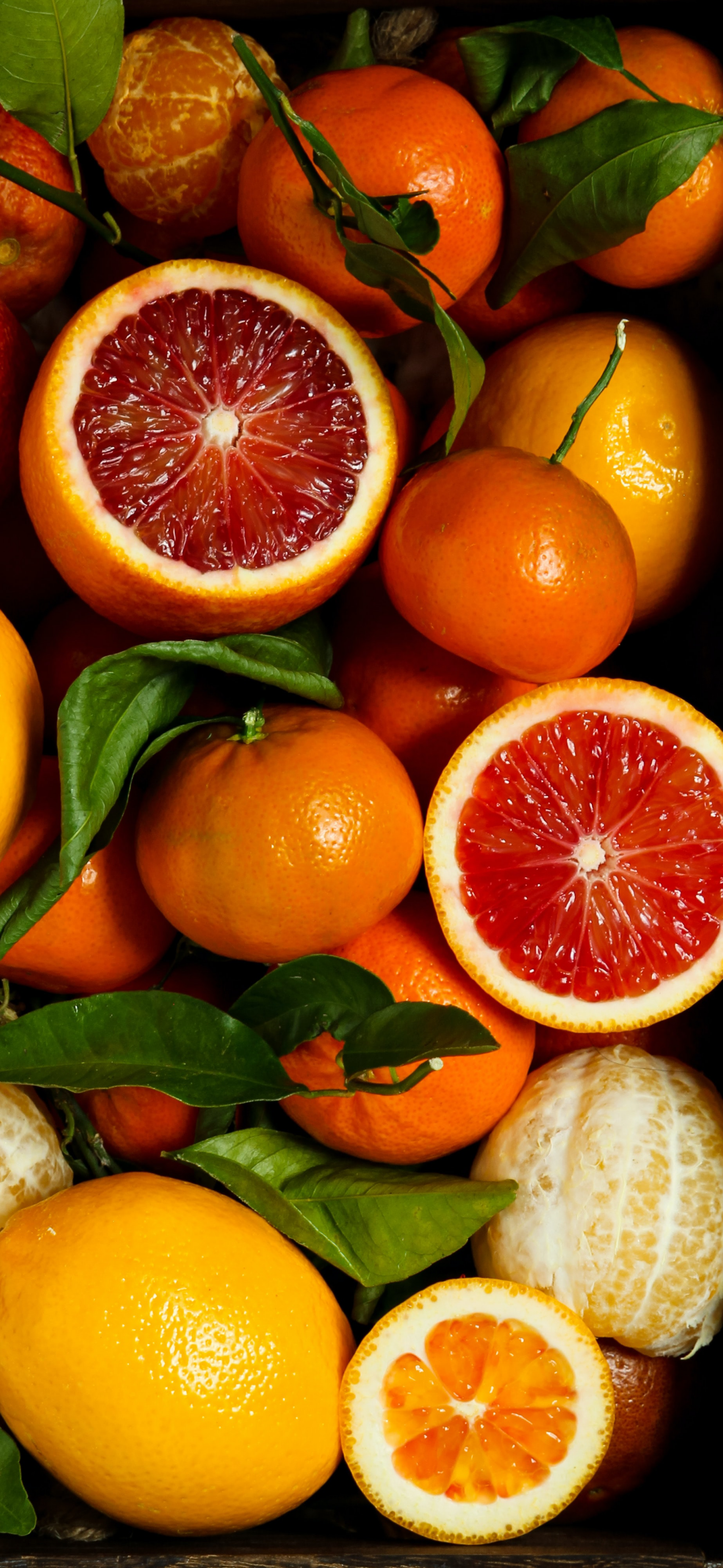 فروش پرتقال خونی