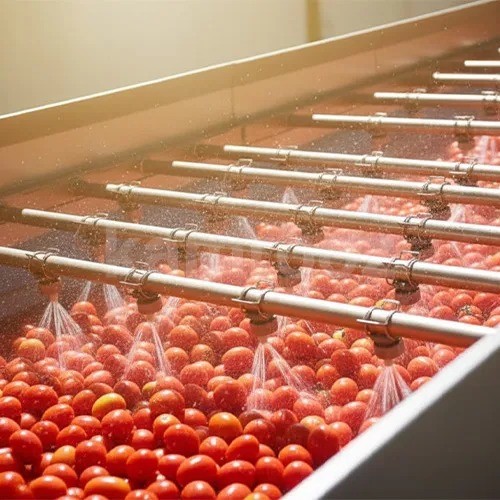 فروش رب گوجه فرنگی