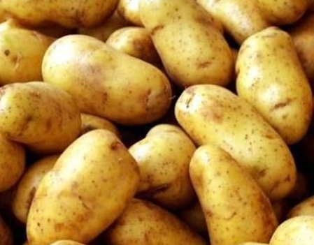 فروش سیب زمینی