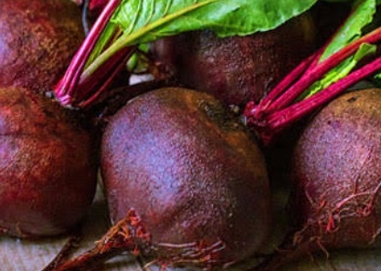 فروش چغندر لبو