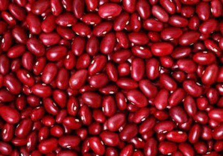 فروش لوبیا قرمز