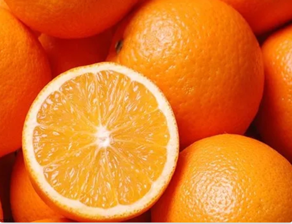 فروش پرتقال تامسون