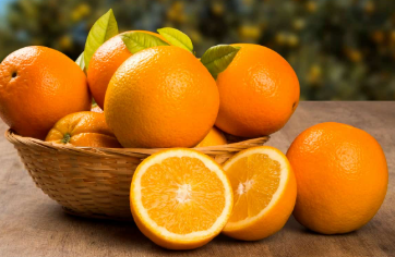 فروش پرتقال