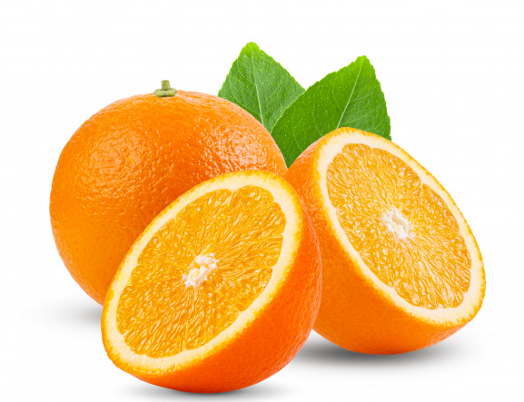 فروش پرتقال