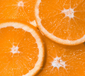 فروش پرتقال