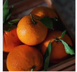 فروش نارنگی