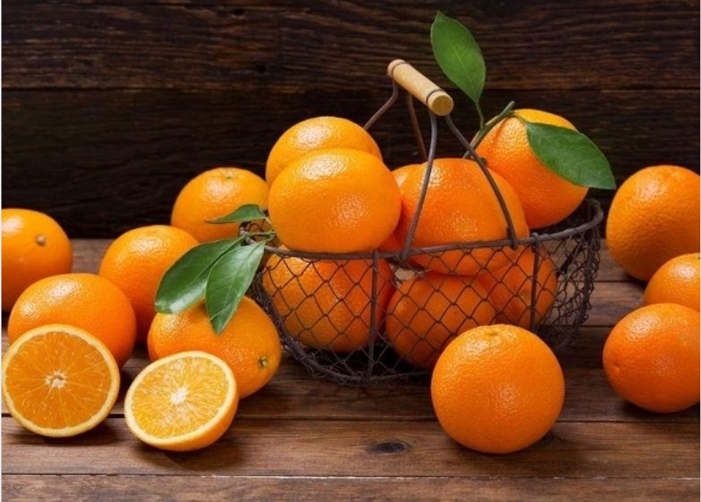 فروش پرتقال تامسون