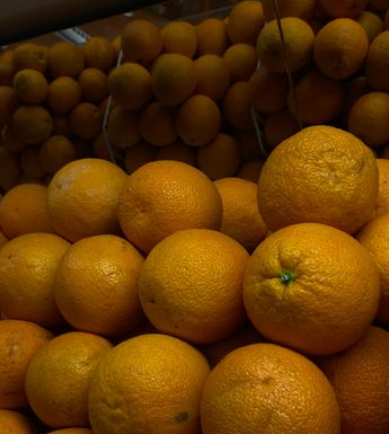 فروش پرتقال تامسون