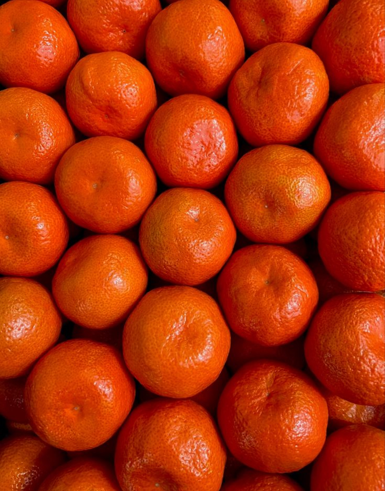 فروش نارنگی ژاپنی