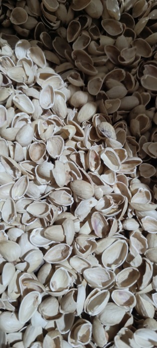 فروش پوست پسته (گیاه‌ دارویی)