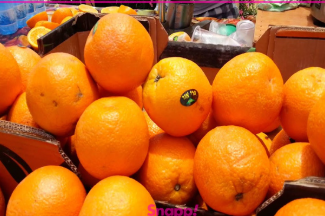 فروش پرتقال