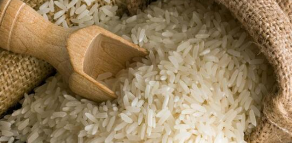 فروش برنج