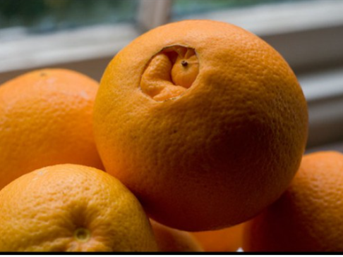 فروش پرتقال تامسون