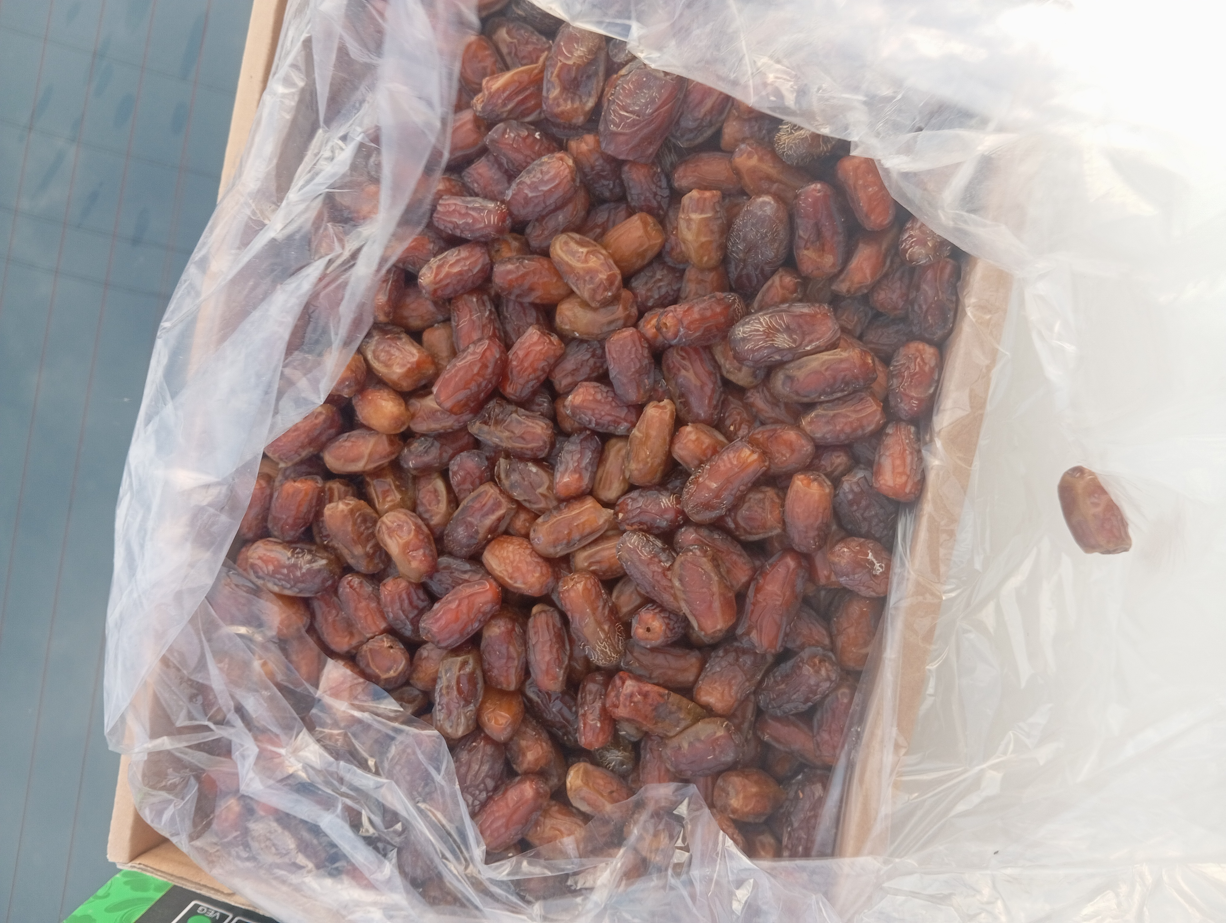 فروش خرما مضافتی