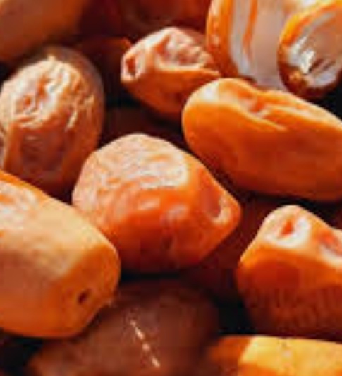 فروش خرما زاهدی