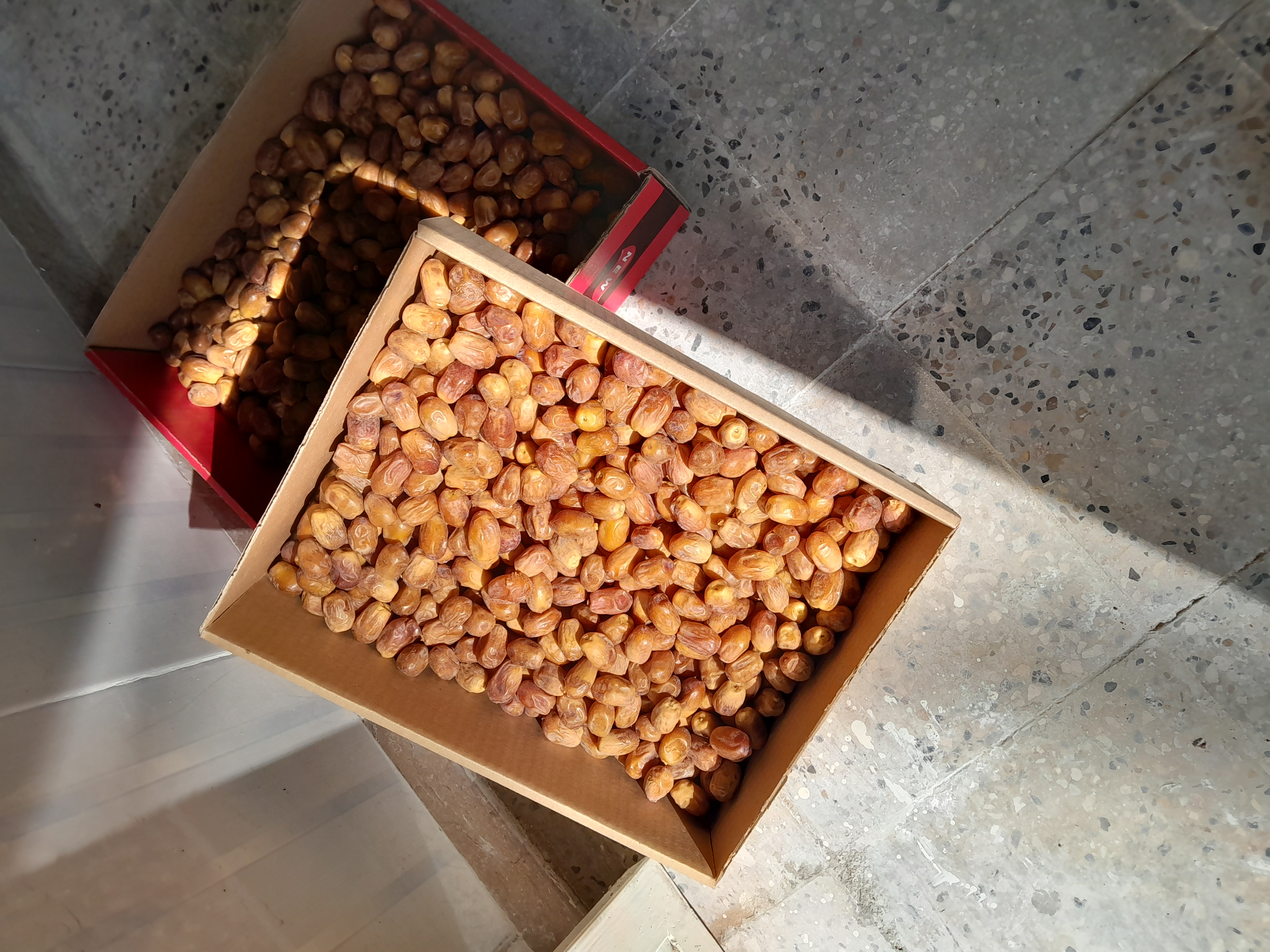 فروش خرما زاهدی