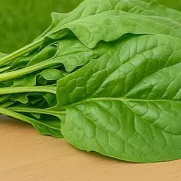 فروش اسفناج