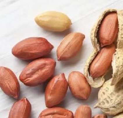 فروش بادام زمینی آجیلی