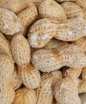 فروش بادام زمینی با قلاف