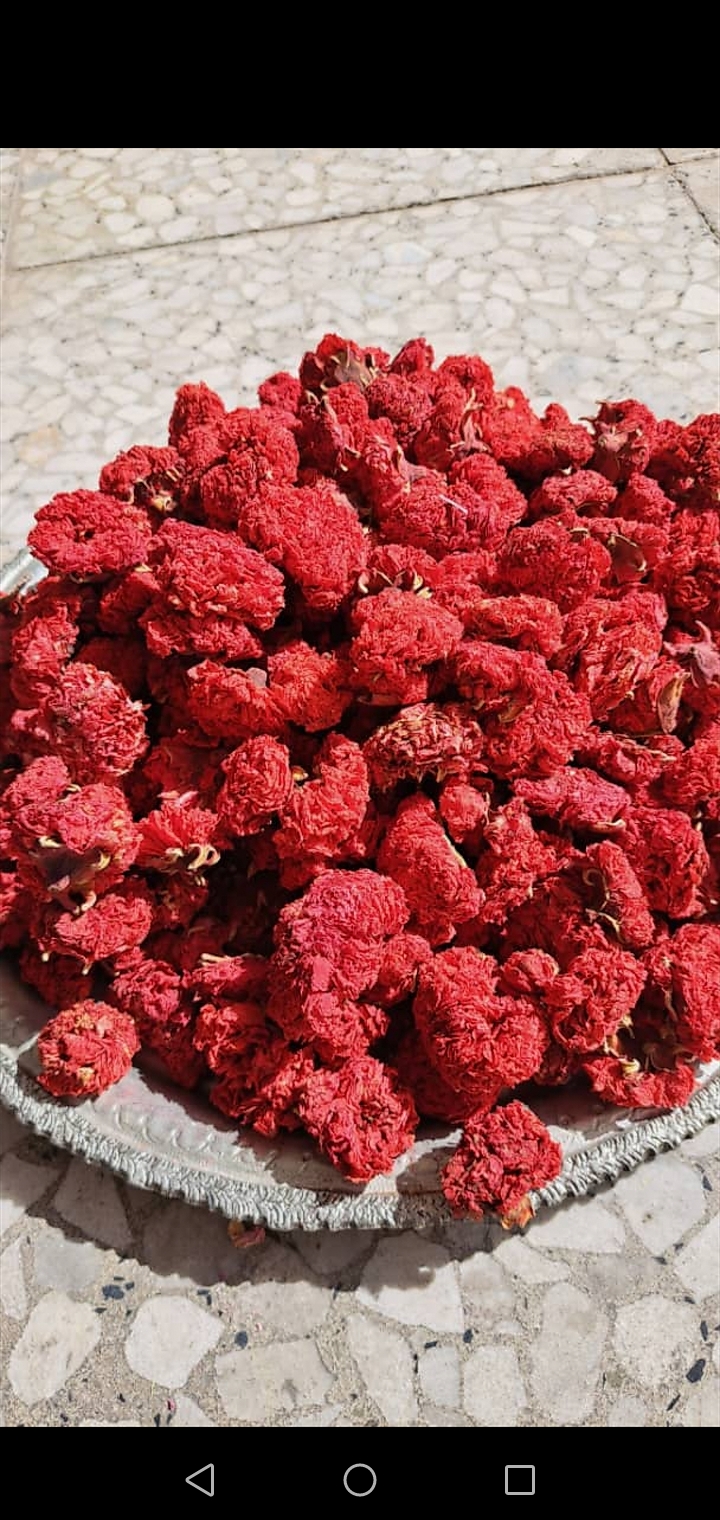 فروش گلنار فارسی ( گل انار ) (گیاه‌ دارویی)