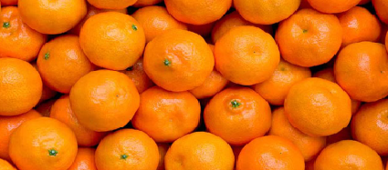 فروش نارنگی