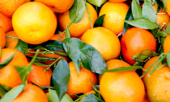 فروش نارنگی