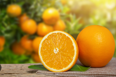 فروش پرتقال