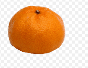 فروش نارنگی