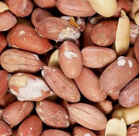 فروش بادام زمینی بی قلاف