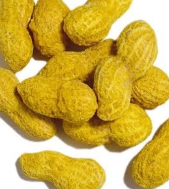 فروش بادام زمینی بی قلاف