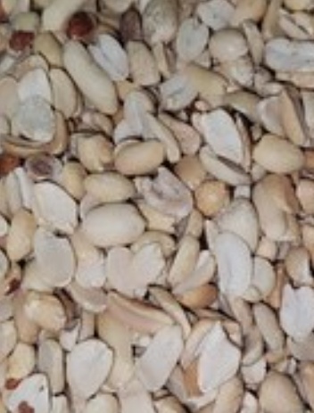 فروش بادام زمینی کره گیری