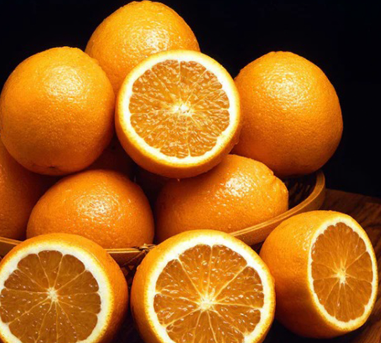 فروش پرتقال