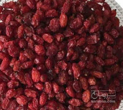 فروش زرشک