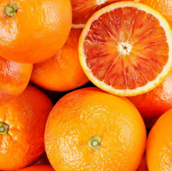 فروش پرتقال